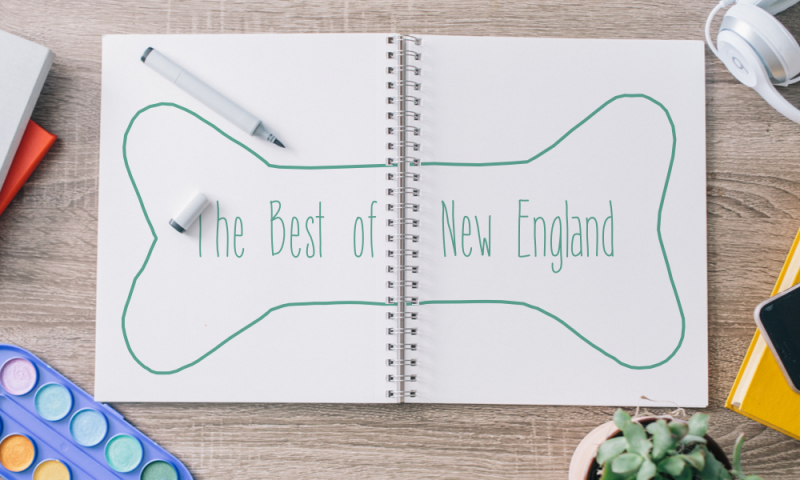 What happened to the BoNE Show? | AIGA Boston